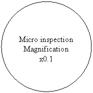 วงรี: Micro inspection  Magnification x0.1  